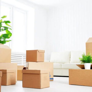 Move-In / Move-Out Cleaning